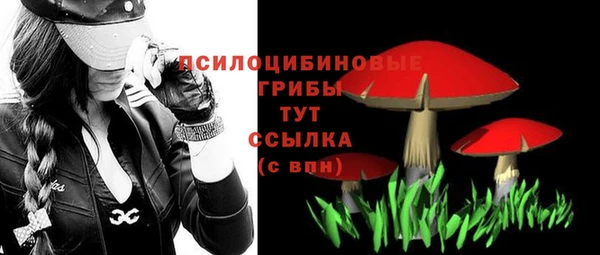 a pvp Абинск